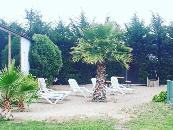 Hotel Del Valle Quilimari بيشيدانغي المظهر الخارجي الصورة